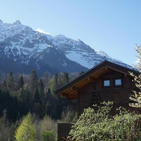 Chalet Independant " L'Anfian-Ne" レ・コンタミンヌ・モンジョワ エクステリア 写真