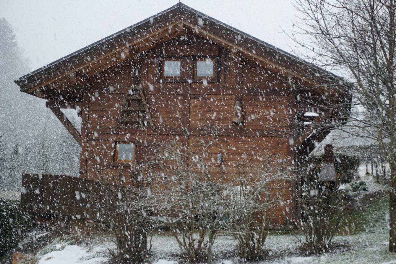 Chalet Independant " L'Anfian-Ne" レ・コンタミンヌ・モンジョワ エクステリア 写真