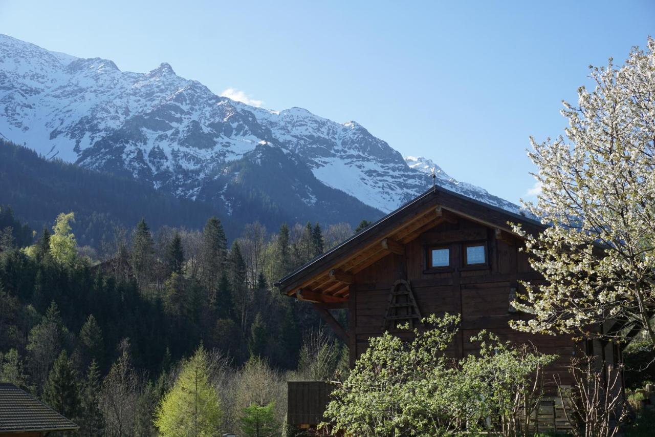 Chalet Independant " L'Anfian-Ne" レ・コンタミンヌ・モンジョワ エクステリア 写真