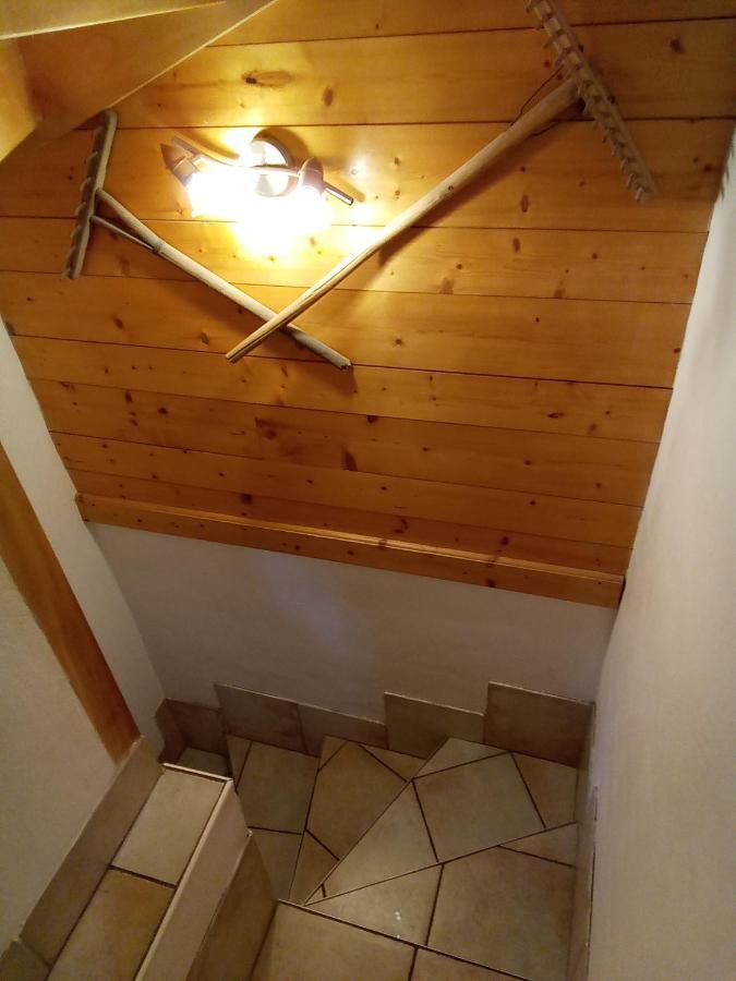 Chalet Independant " L'Anfian-Ne" レ・コンタミンヌ・モンジョワ エクステリア 写真
